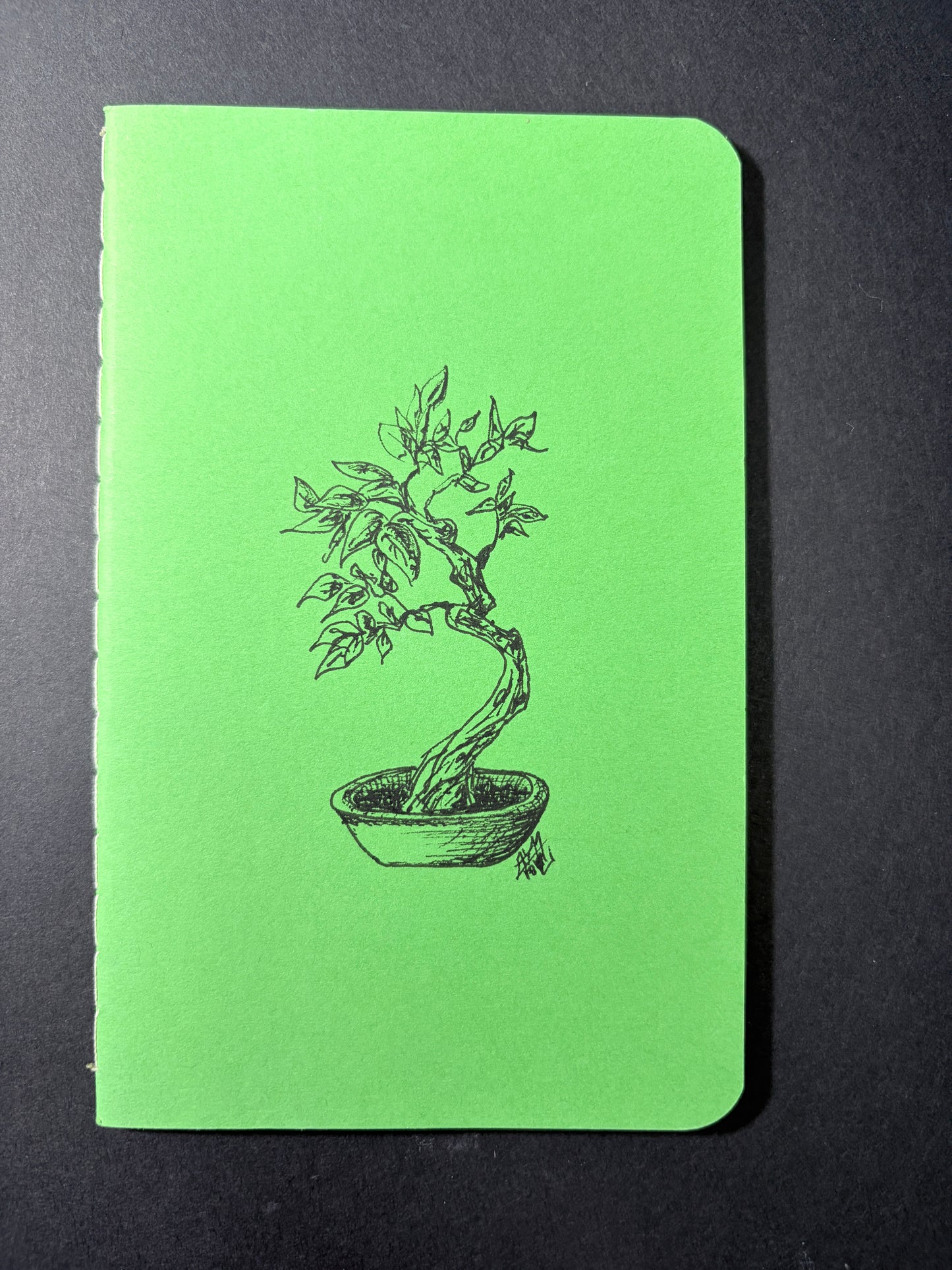 Mini notebooks (set of 5)